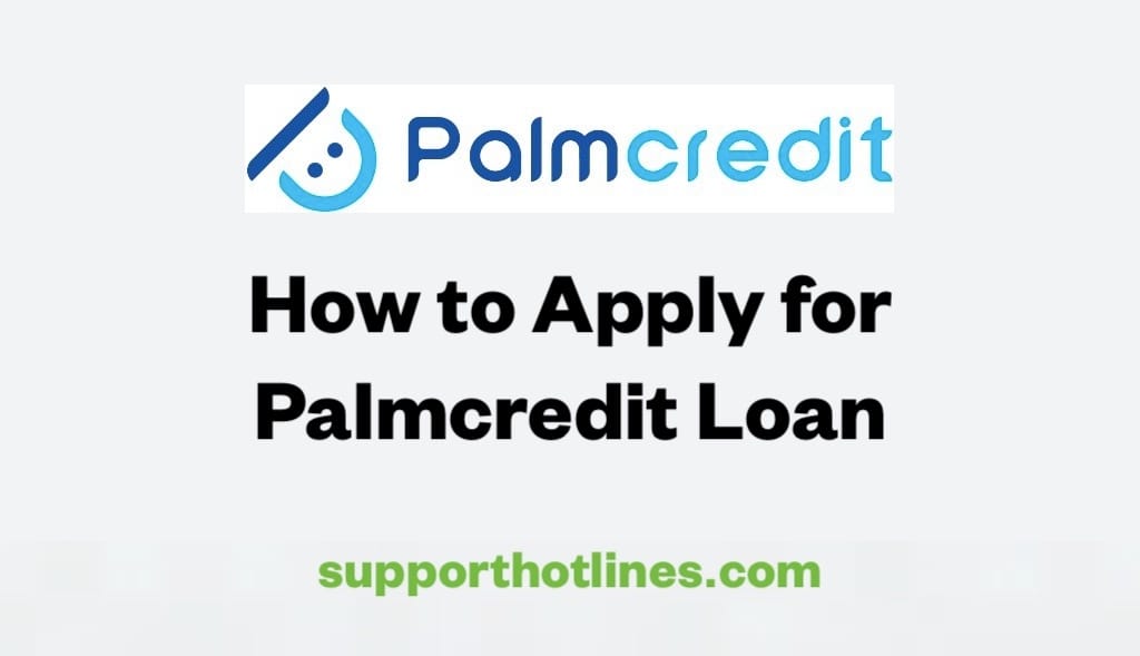 Palmcredit Instant Loan: Requirements & A Step-by-Step Guide
